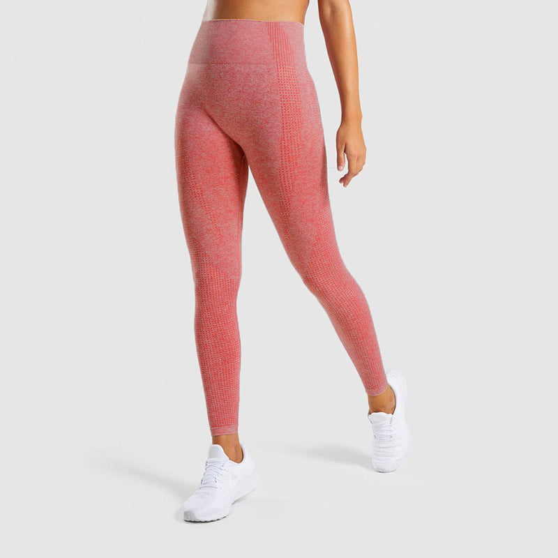 Pantalon de sport pour femme en jacquard sans couture.