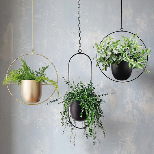 Pot de fleurs suspendu en fer de style nordique, simple et créatif, pour la décoration de plantes en pot hydroponiques. Luxe léger et personnalisé pour suspendre des orchidées.