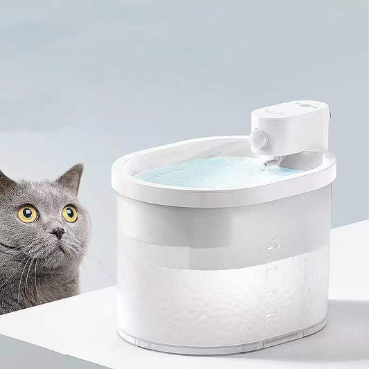 Youha chat de compagnie distributeur d'eau automatique Intelligent automatique