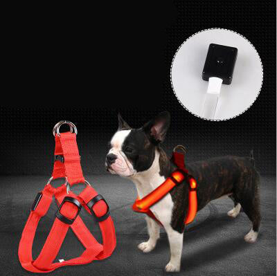 Produits pour animaux de compagnie LED lumineux chien sangle de poitrine, grand chien lumineux chien laisse, ventes directes d'usine - Ivory Deals Market