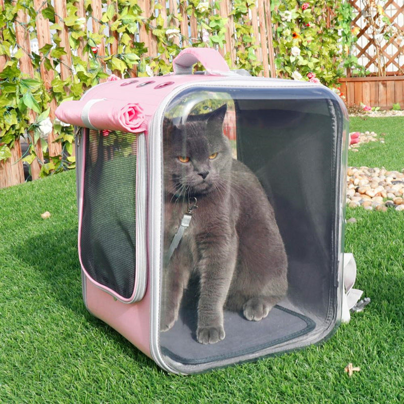 Pet Cat Transporteur Sac À Dos Respirant Chat Voyage En Plein Air Sac À Bandoulière Pour Petits Chiens Chats Portable Emballage de Transport Pour Animaux Fournitures