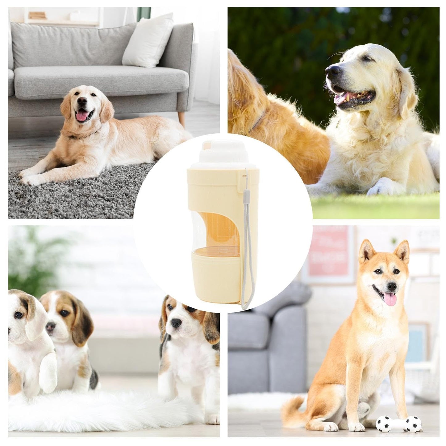 Tasse portable pour chien,