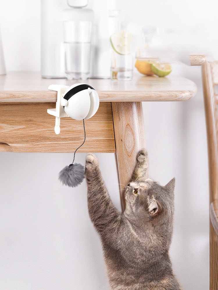 Jouet pour chat interactif à mouvement de levage automatique électrique, balle de teaser intelligente pour chat, fourniture pour animaux de compagnie. - Ivory Deals Market