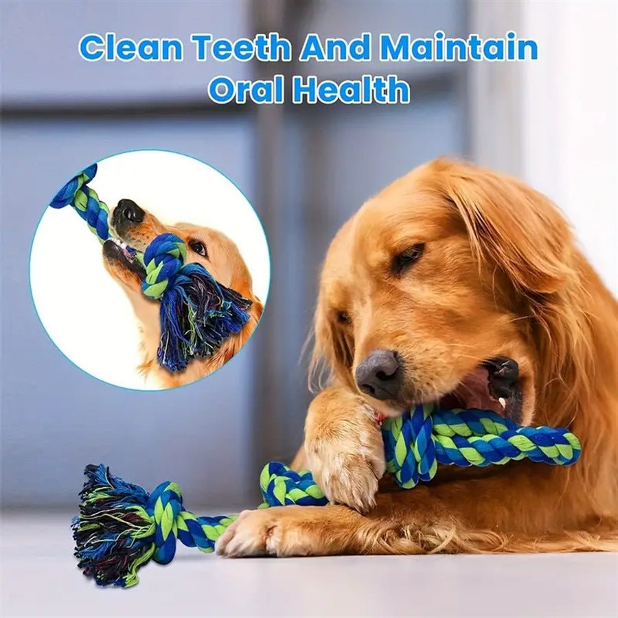 Jouet pour chien de taille moyenne à grande pour nettoyer les dents en style formel - Ivory Deals Market