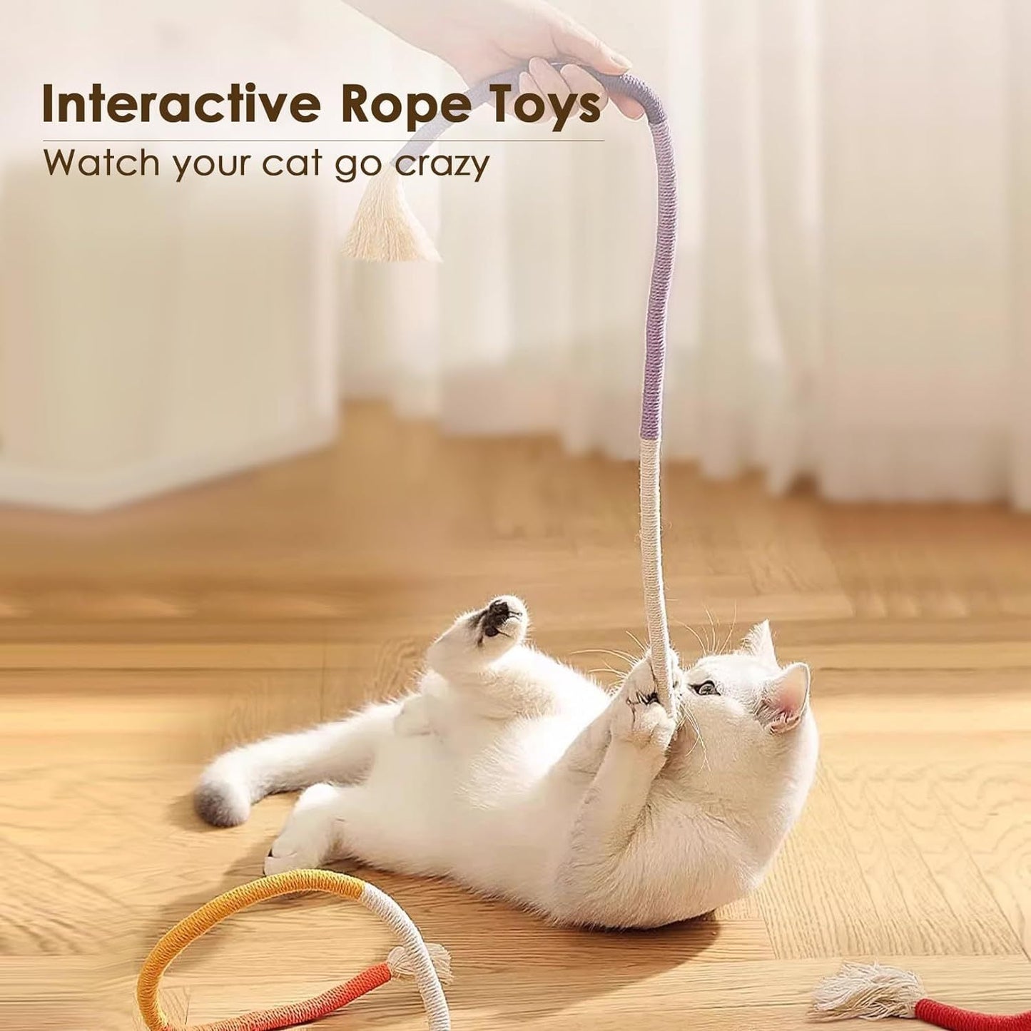 Jouets pour chats, - Ivory Deals Market