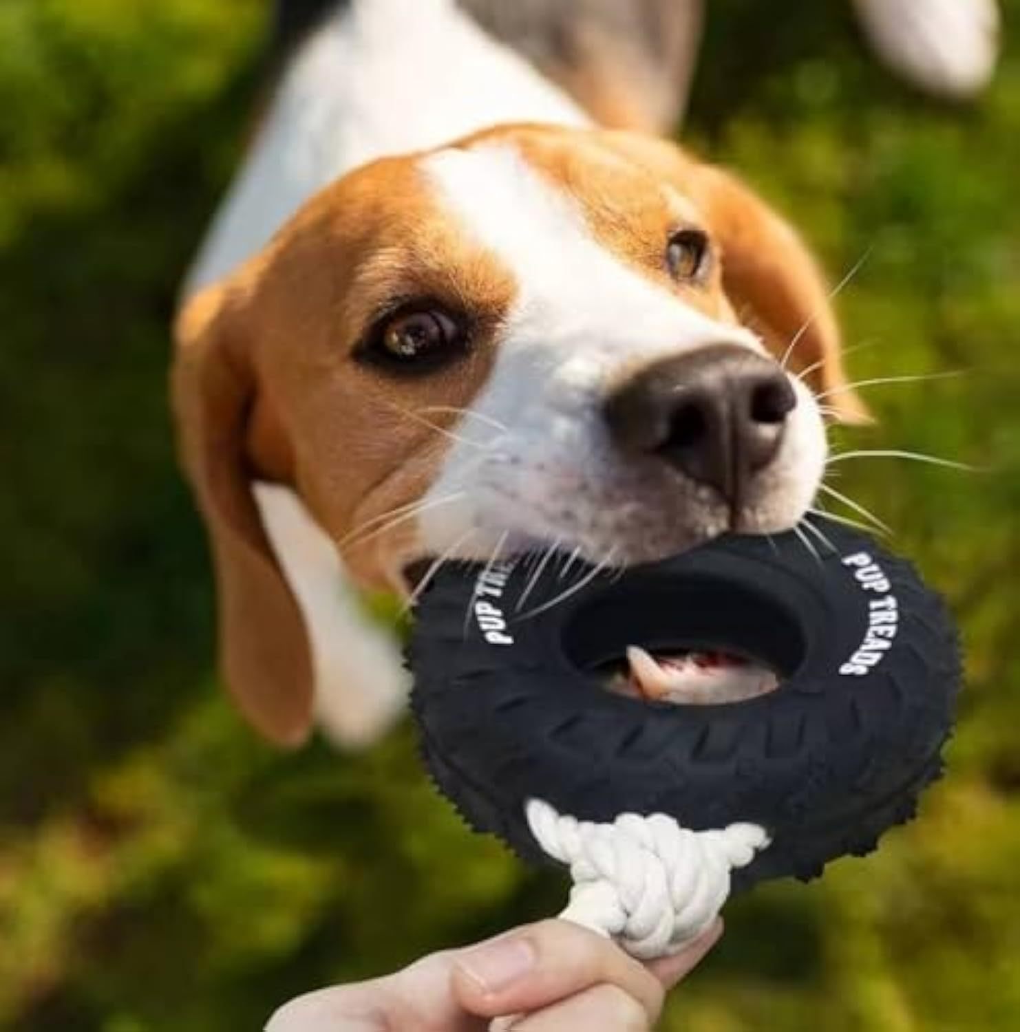 Jouets pour chiens durables, jouets agressifs pour chiens, jouets interactifs pour grands chiens, jouets à mâcher, jouets de dentition, distributeur de friandises, jouets pour chiens - Ivory Deals Market