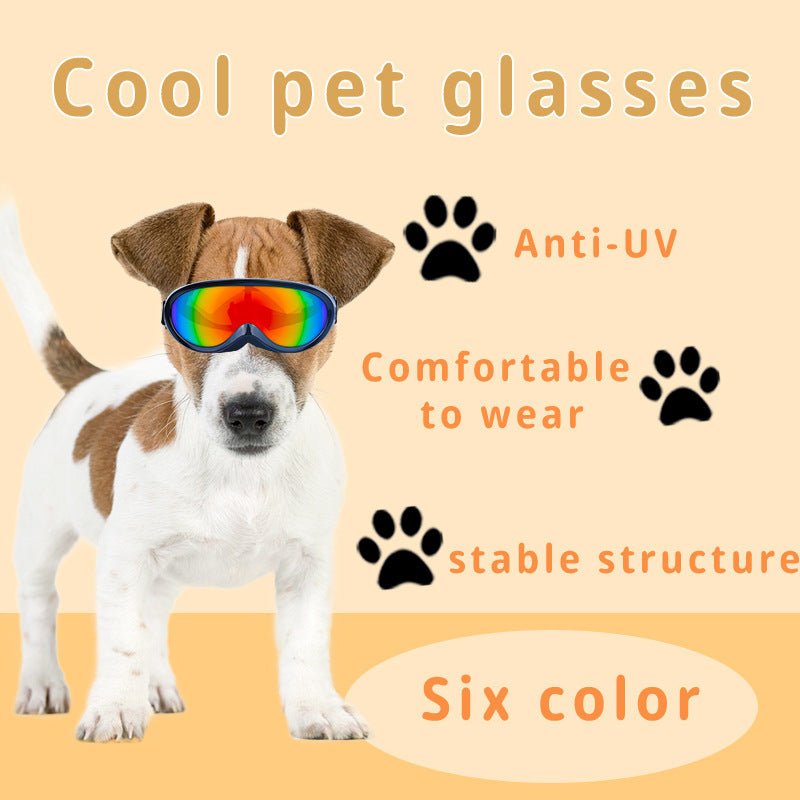 Lunettes coupe - vent pour chat en plein air, lunettes de soleil cool pour animaux de compagnie. - Ivory Deals Market