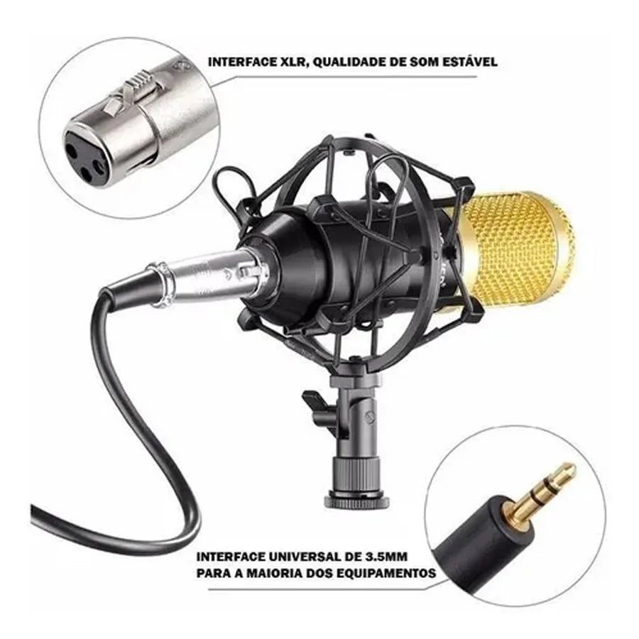 Microphone à condensateur pour l'enregistrement professionnel en studio de podcast. - Ivory Deals Market