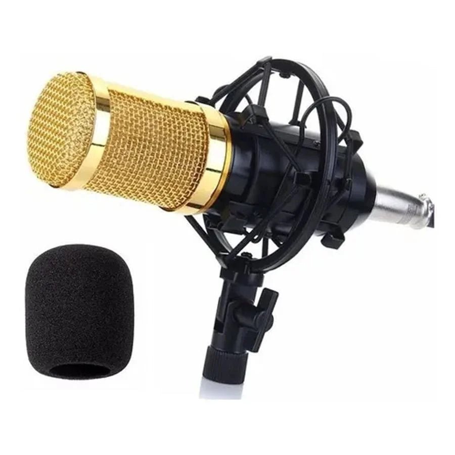 Microphone à condensateur pour l'enregistrement professionnel en studio de podcast. - Ivory Deals Market