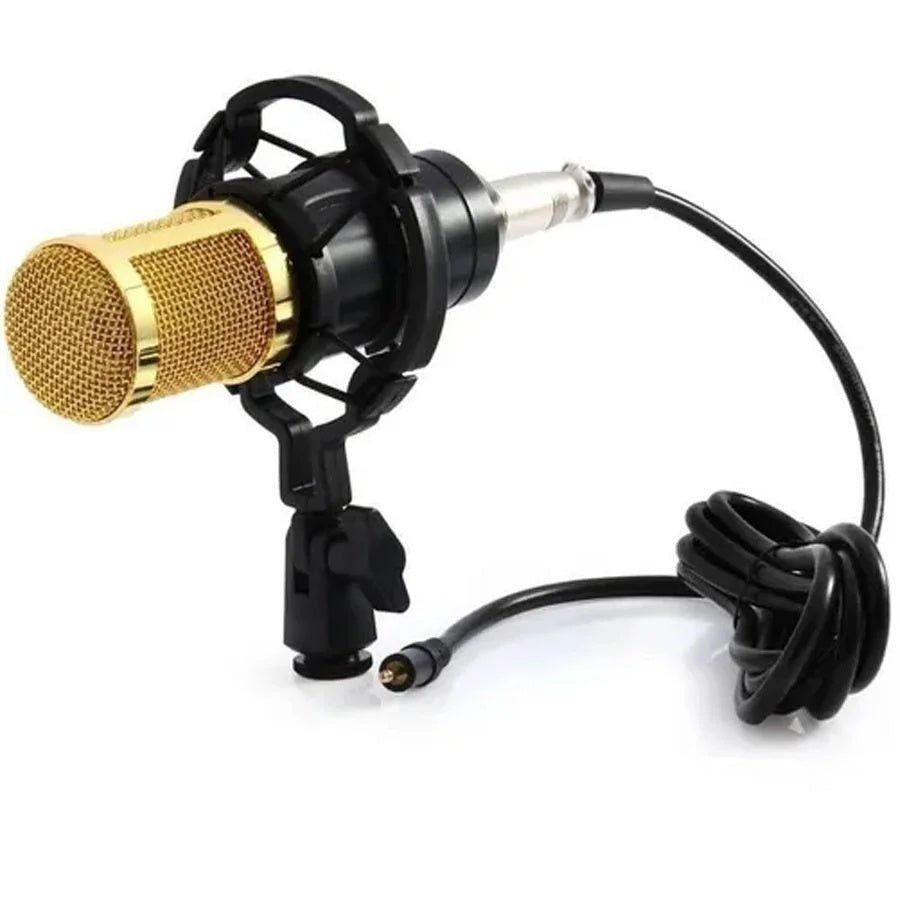 Microphone à condensateur pour l'enregistrement professionnel en studio de podcast. - Ivory Deals Market