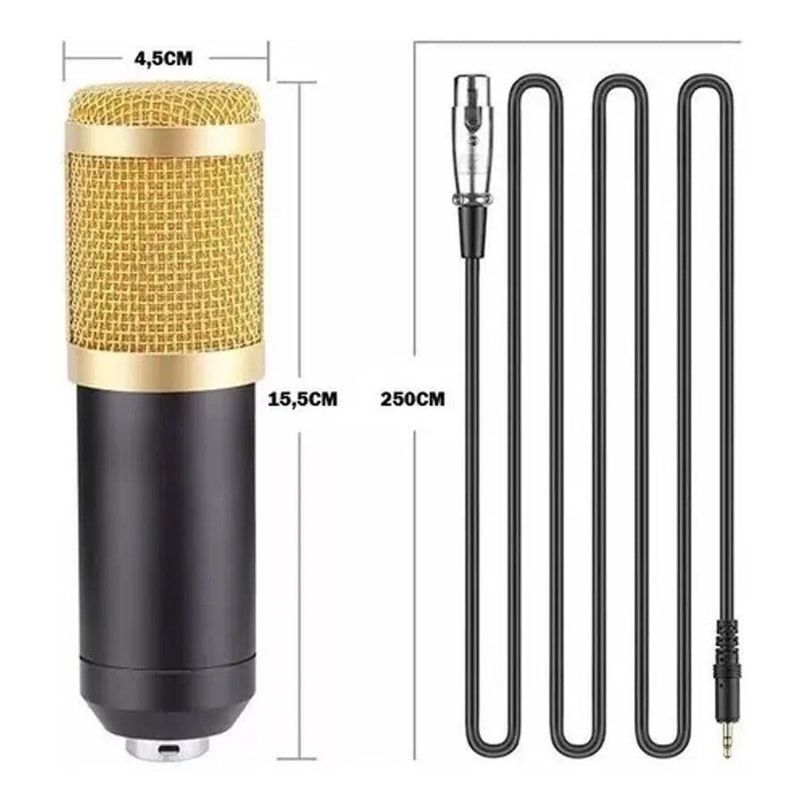 Microphone à condensateur pour l'enregistrement professionnel en studio de podcast. - Ivory Deals Market