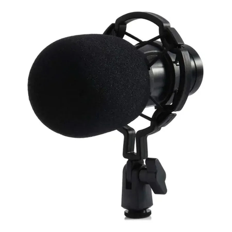 Microphone à condensateur pour l'enregistrement professionnel en studio de podcast. - Ivory Deals Market